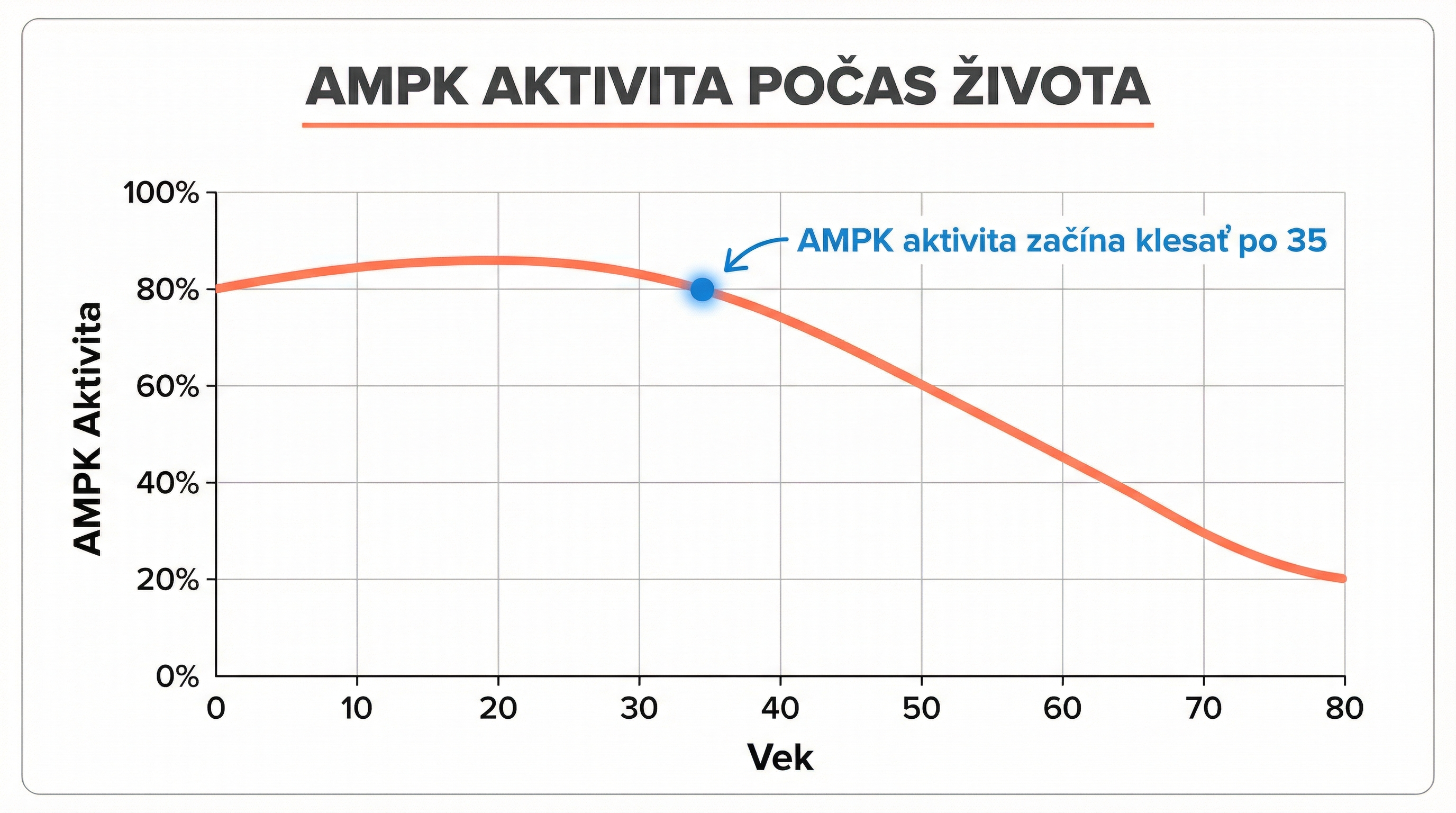 AMPK aktivita počas života - graf