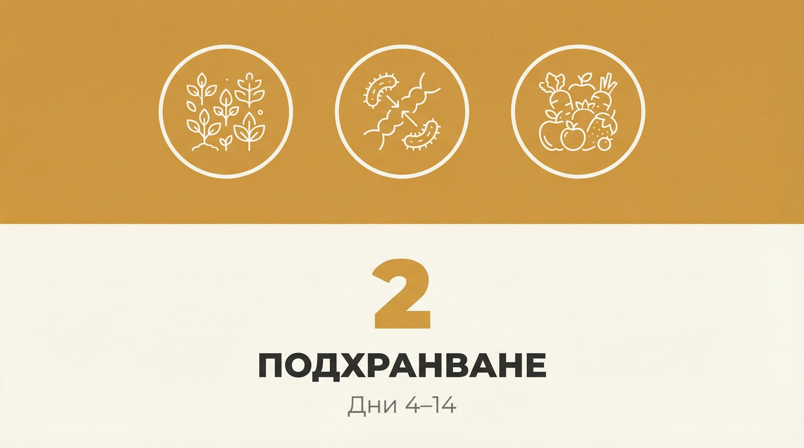 Фаза 2: Подхранване