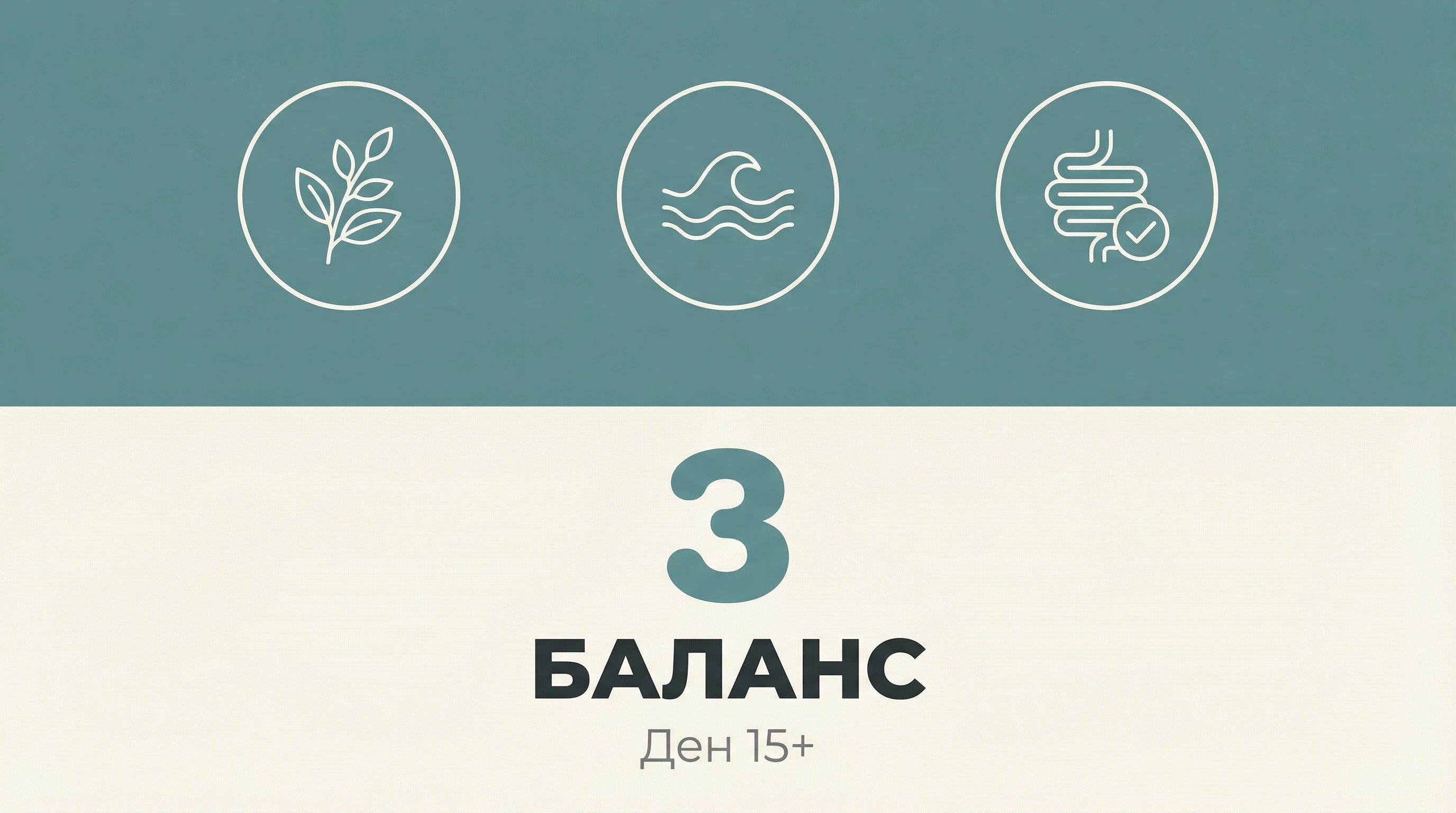 Фаза 3: Баланс