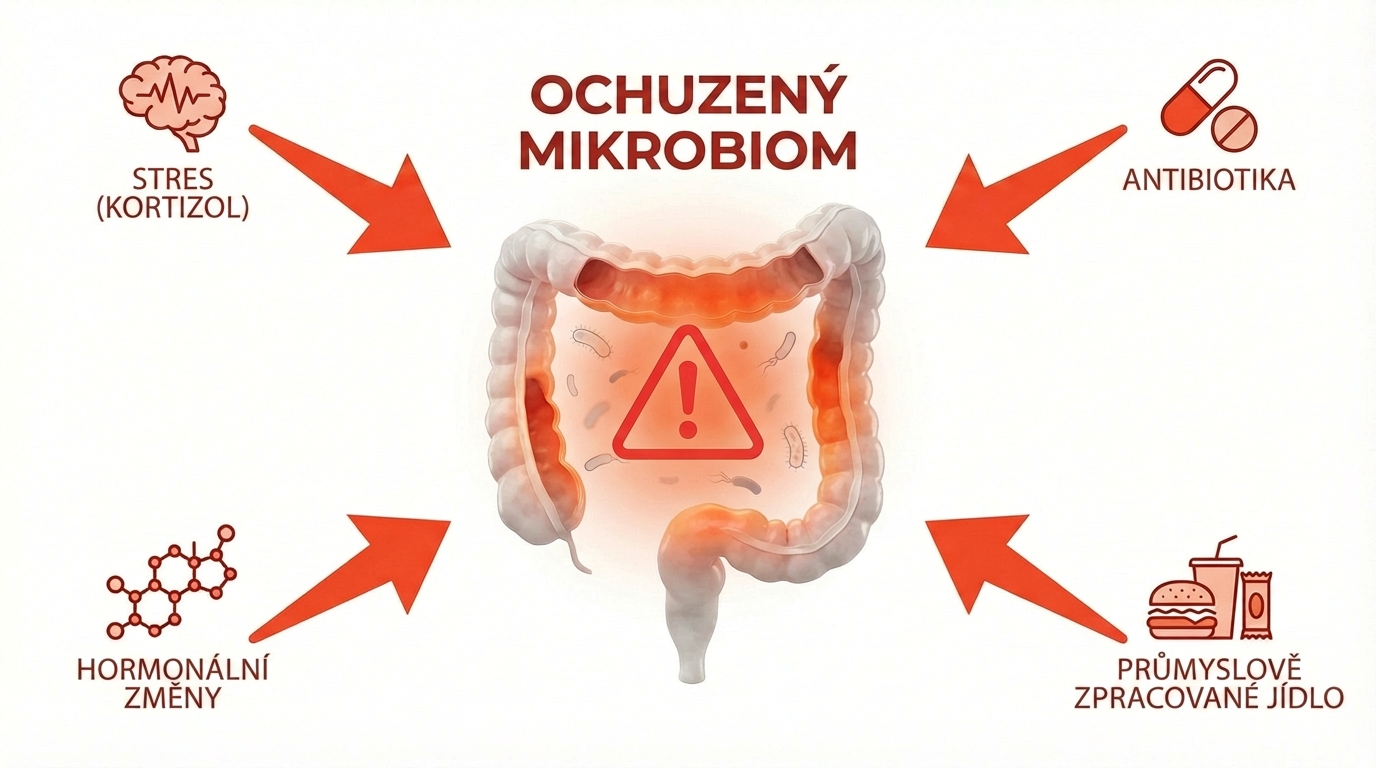 Mikrobiomový bankrot