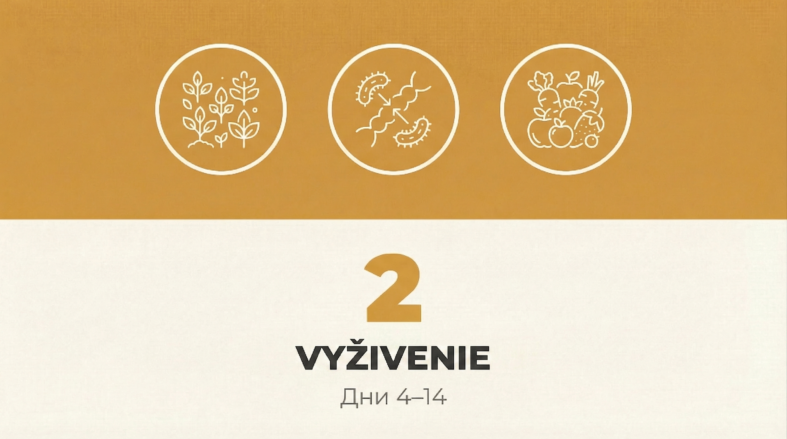 Fáza 2: Vyživovanie