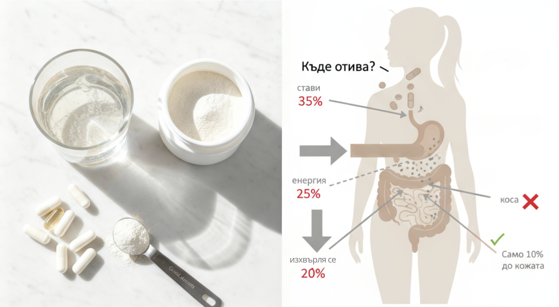 Kam kolagén v skutočnosti v tele ide